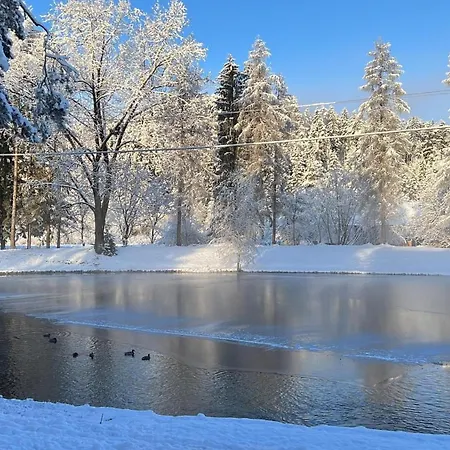 Haus Mit Fischteich Natururlaub Fuer Familien & Hunde * Feistritz ob Bleiburg