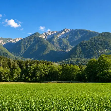 Haus Mit Fischteich Natururlaub Fuer Familien & Hunde Apartament *